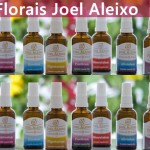 Florais do Joel Aleixo: Gosto Demais!