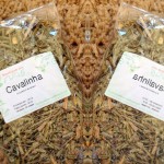 Cavalinha: O Chá Que Ajuda a “Desinchar”