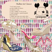 Os Sapatos da Mulher de Câncer