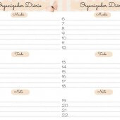 Organizador Diário, Semanal e Mensal Pra Imprimir!
