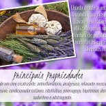 Óleo Essencial de Lavanda: Relaxa, Acalma e Ajuda a Dormir Melhor!