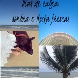 Diário de Férias: Valeu, Foi Bom, Adeus!