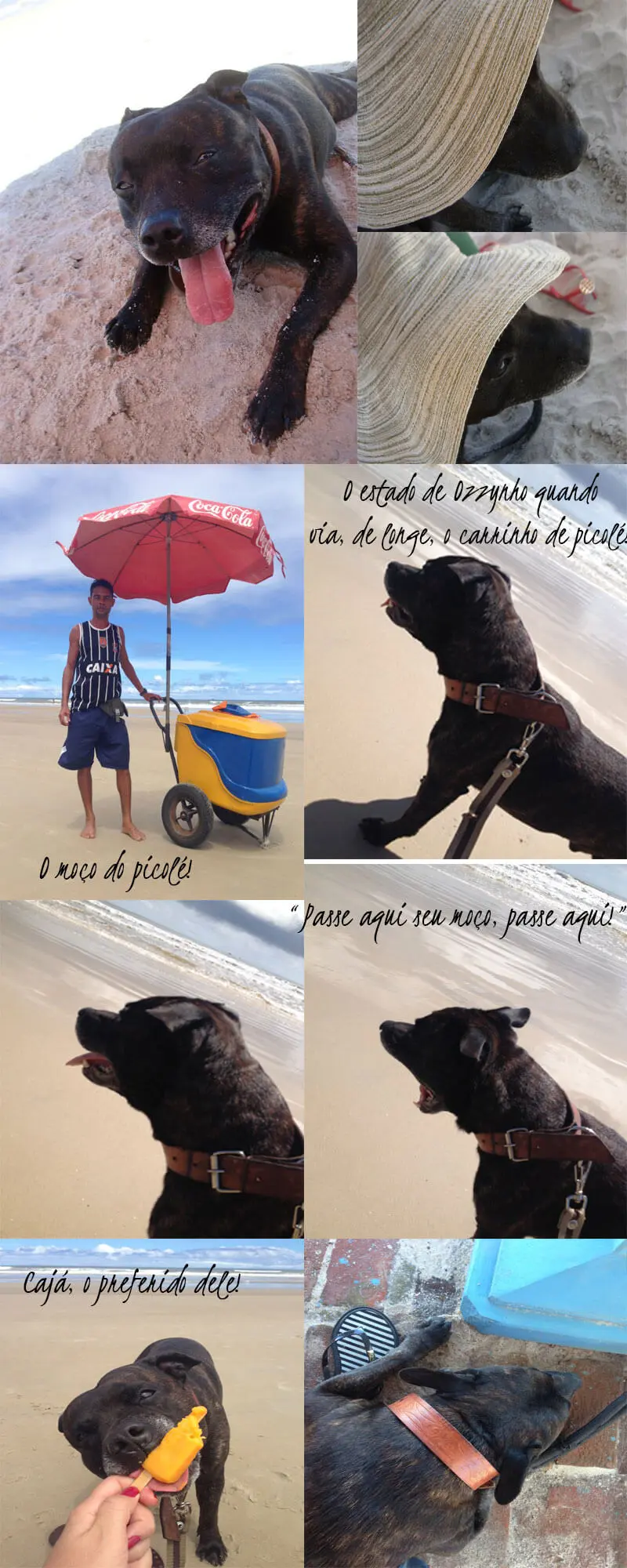 férias