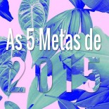 As 5 Metas de 2015!