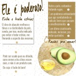 Óleo de Abacate: Maravilhoso pra Pele e Cabelo!