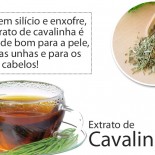 Extrato de Cavalinha pro Cabelo Crescer!