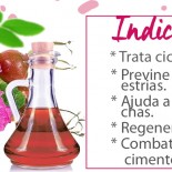 Óleo de Rosa Mosqueta: Trata Estrias, Cicatrizes e Muito Mais!