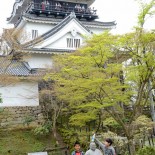 Coisas do Japão: Festival Hanami no Castelo de Okazaki!