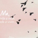 Aprendendo a Viver…