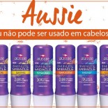 Aussie em Cabelos Loiros: Pode ou Não Pode?