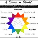 Shampoo Roxo X Shampoo Azul: Qual Escolher?