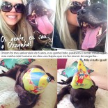 10 Coisas Sobre Ozzynho