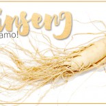 Ginseng: Como Usar e Para Que Serve!