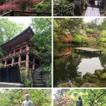 Templo Natadera: Conhecendo o Japão Com a Si!