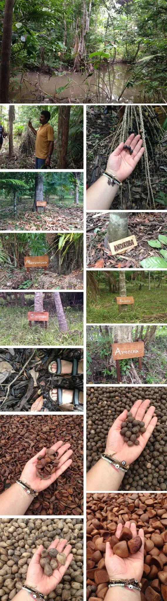 pará natura natureza gera beleza