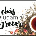 3 Chás Que Ajudam A Emagrecer