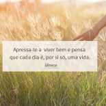 Pro Dia Ser Mais Feliz (E a Vida também!)
