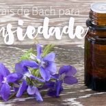 Florais de Bach Para Ansiedade: Os Que Funcionam Pra Mim!