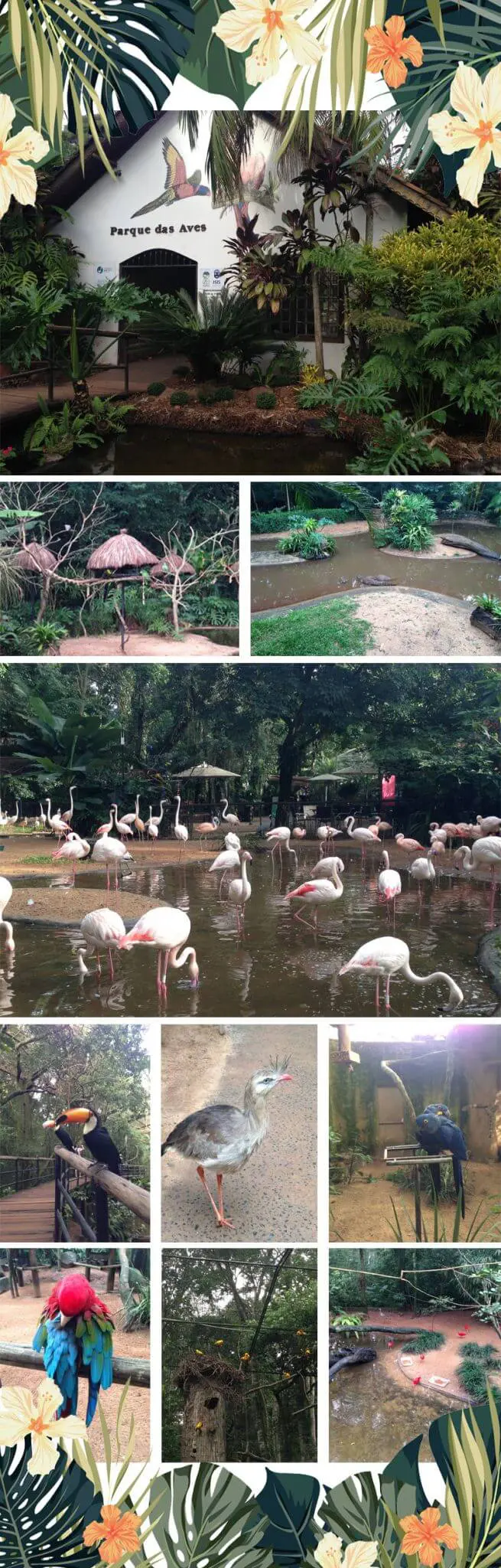 foz do iguaçu parque das aves