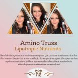 Amino Truss