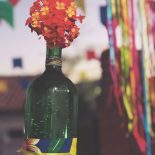 Festa Junina: O Primeiro São João da Jujuland