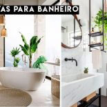 Plantas para Banheiro: Quais Usar?