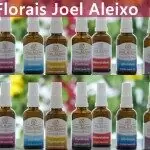 Florais do Joel Aleixo: Gosto Demais!