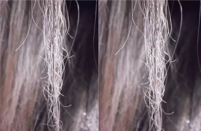 Saiba Do Que O Seu Cabelo Precisa!