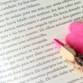 Livro da Semana: Loucamente Sua