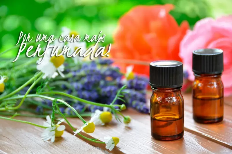 casa perfumada
