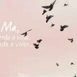 Aprendendo a Viver…
