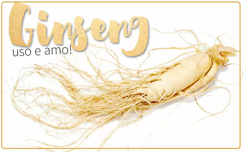 ginseng