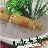Fonte de Água: Faça Você Mesma!