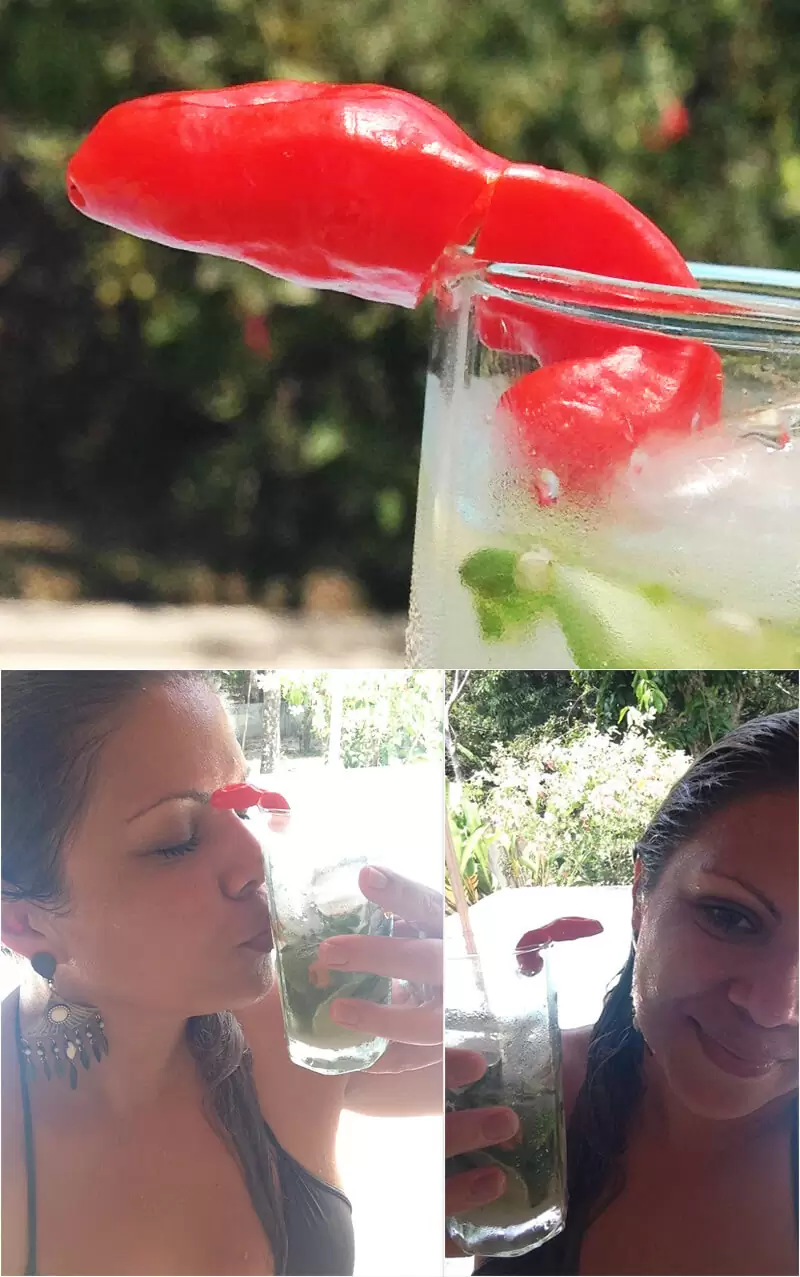 receita-caipiroska-de-manjericão-com-pimenta