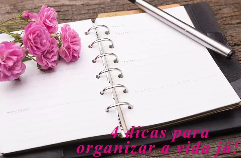 dicas para organizar a vida juro valendo