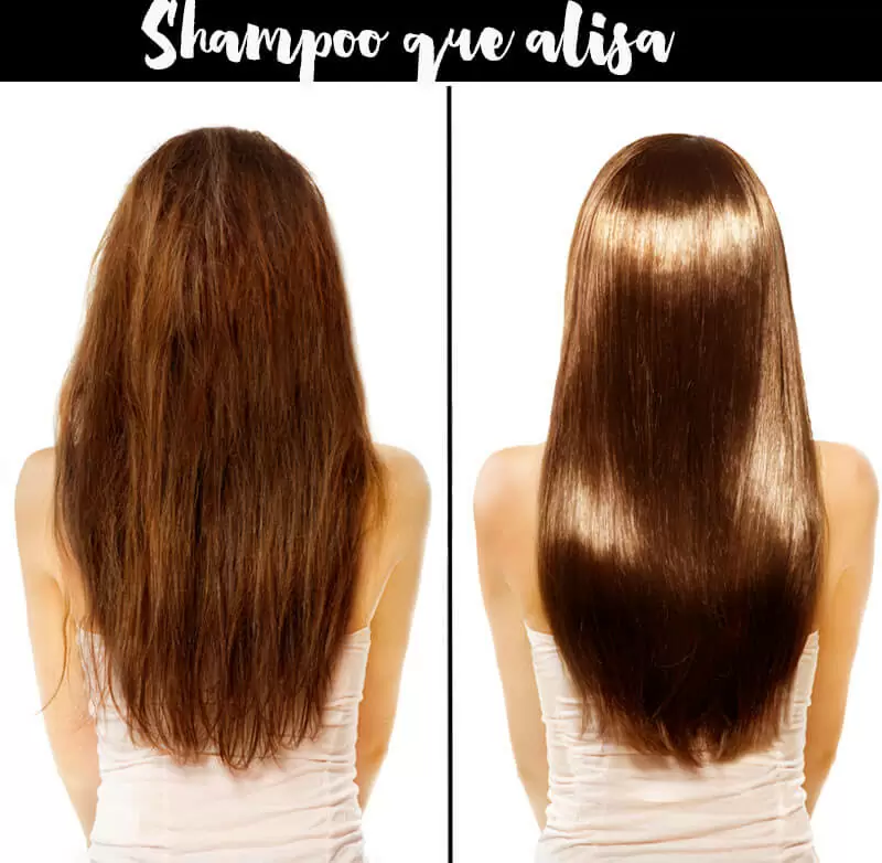shampoo que alisa