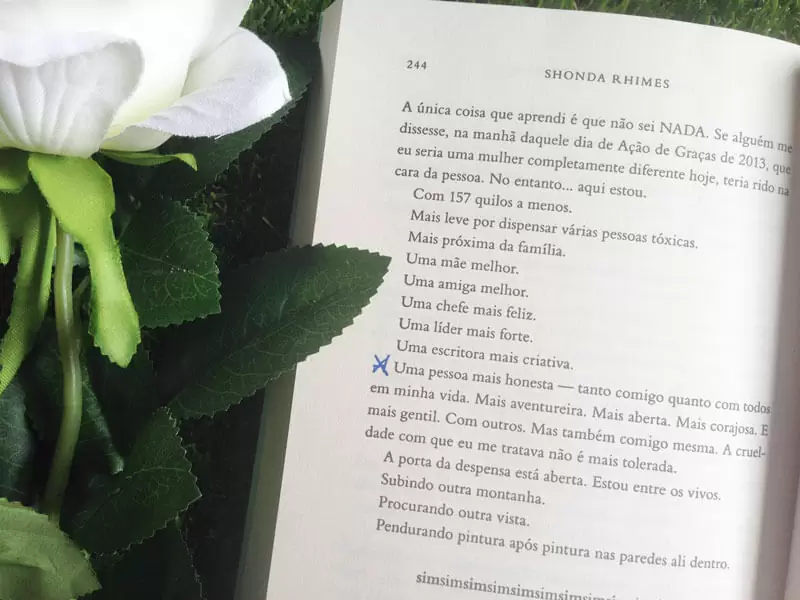 resenha o ano em que disse sim shonda rhimes juro valendo ju lopes