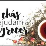 3 Chás Que Ajudam A Emagrecer