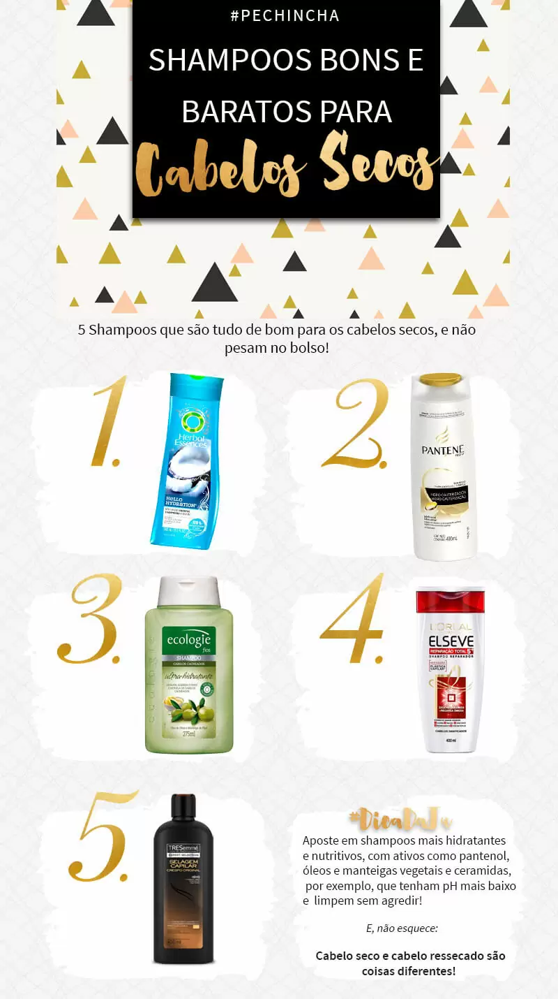 shampoo bom e barato para cabelos secos