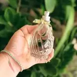 Perfume Flor de Graviola L´Occitane Au Brésil