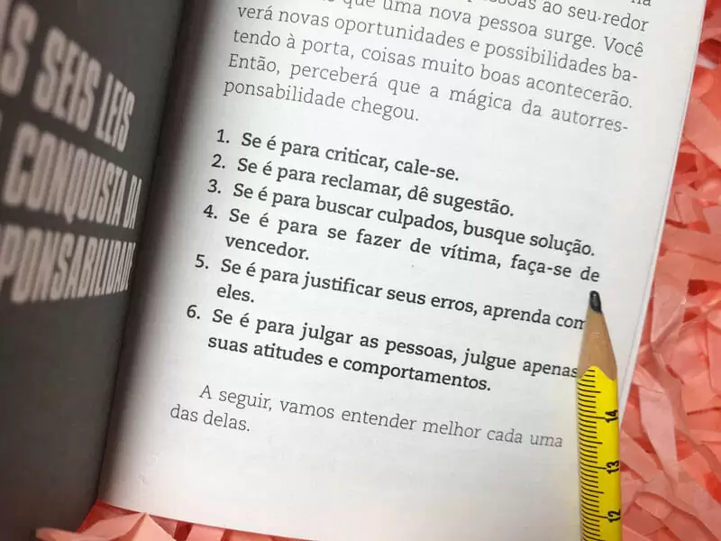 livro poder da autorresponsabilidade paulo vieira