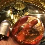 Perfume Desobediente Quem Disse Berenice